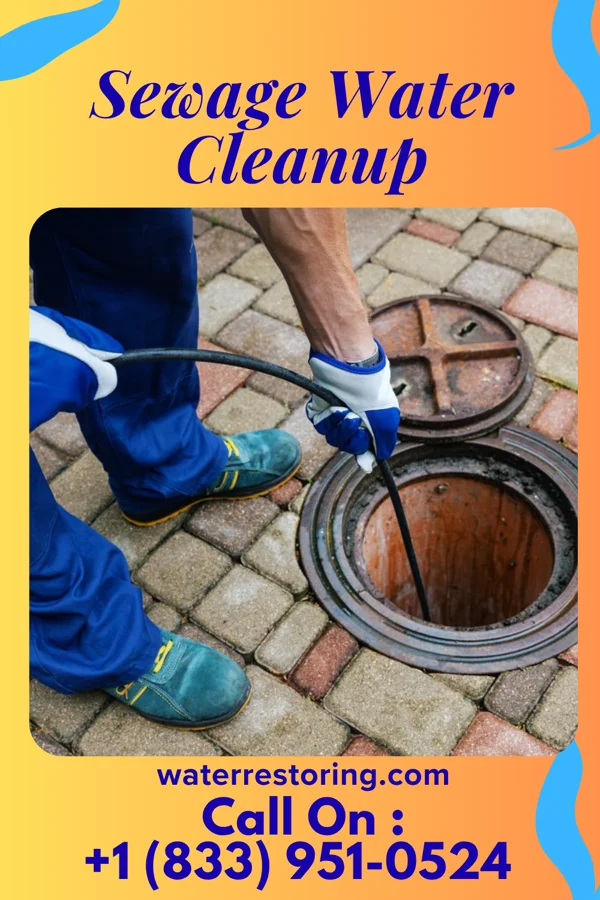 Sewage Water Cleanup in Bonneau Beach, SC