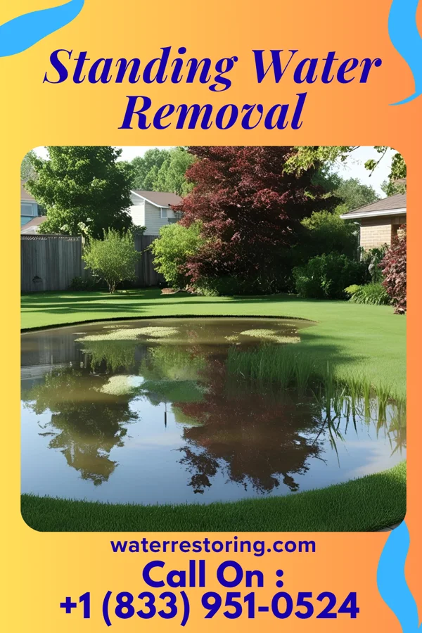 Standing Water Removal in Bonneau Beach, SC